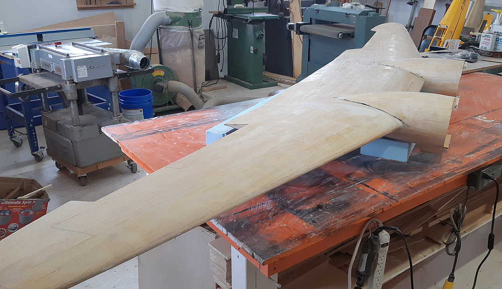 Top of wing sanded.